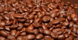 Starbucks - capsules de café arabica de sumatra intensité 10 compatibles nespresso
