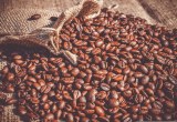Starbucks - capsules de café espresso roast décaféiné intensité 11 compatibles nespresso