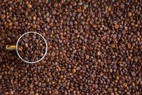Starbucks - capsules de café espresso roast intensité 11 compatibles nespresso