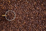 Starbucks - capsules de café espresso roast intensité 11 compatibles nespresso