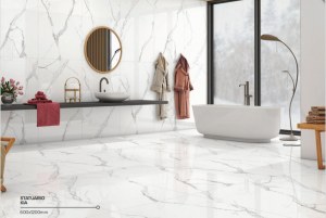 Carrelage 60x60 et 60x120 - Mat et Brillant - Statuario Kia