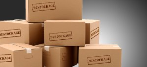 (DESTOCKAGE) BLOC NOTE NOTEBOOK YOUTUBER FRANCAIS