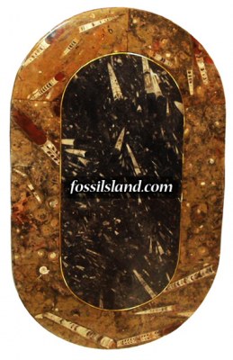 Table basse en Pierre d'erfoud riche en fossiles