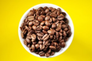 Tassimo - dosettes de café l'or xl classique