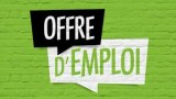 Offre D'emploi