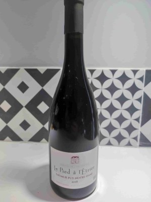 Le Pied à l'Étrier Saumur Puy Notre Dame 2016