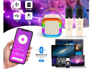 Mini Karaoké Bluetooth avec 2 Micros Sans Fil - Effets Lumineux