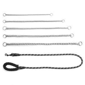 Coffret collier métallique avec laisse nylon réfléchissante pour chien