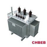 Transformateur de Distribution Immergé dans l’Huile 30–2500 kVA | 6–35 kV, ONAN/ONAF