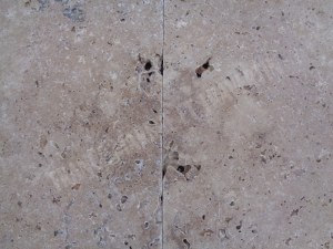 Carrelage travertin 60x90x1.2 cm commercial REF 0015