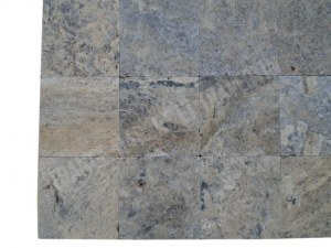 Travertin Silver 20x20x1,2cm 1er choix