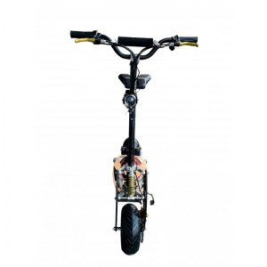 TROTTINETTE ELECTRIQUE 1000W E-RUN STREET ER24