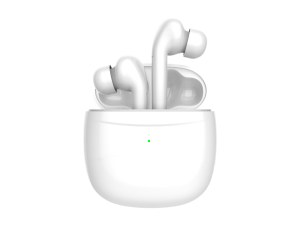 Écouteurs TWS sans fil Bluetooth 5.0 Intra-Auriculaires avec Réduction de Bruit - Auton...