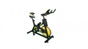 VELO D'APPARTEMENT ROUE INERTIE 24 KG