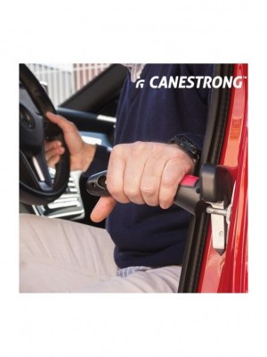 Lot de 20 Poignées de Sécurité Portative pour Voitures