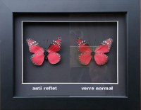 Plaque PLEXI Anti-reflet pour cadres affiches, posters