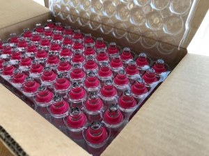 Lot bouchons en verre pour bouteille de vin