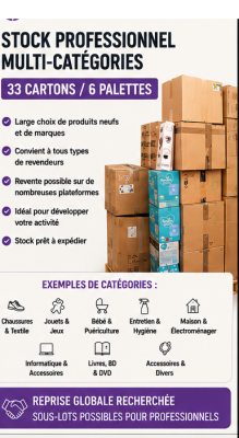 Stock professionnel mult catégories – 33 cartons / 6 palettes
