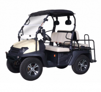 Vente gros / détail Voiture de Golf 4KW - PRIX CHOC