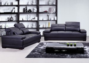 Canapé Cuir 2 places à 3 places