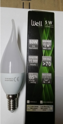 Lampe flamme décorative LED WELL E14 5W/3000K opale