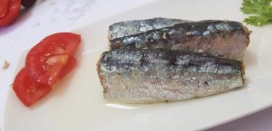Moroccan sardines company