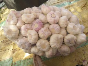 Export agroalimentaire