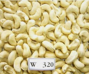 Noix de Cajou