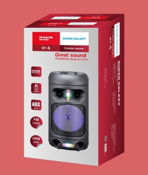 Enceinte Bluetooth puissant port USB / SD ET entrée pour micro 8 POUCE