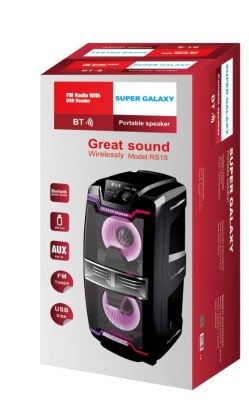 Enceinte Bluetooth puissant port USB / SD ET entrée pour micro 10 POUCE DOUBLE