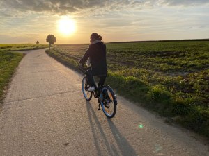 Lot de 5 Billy bikes