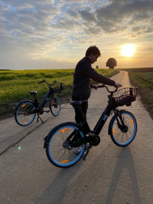 Lot de 5 Billy bikes