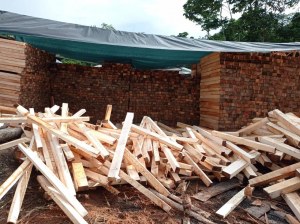 Bois de balsa en gros