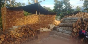 Bois de balsa en gros