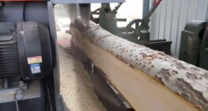 Bois de balsa en gros