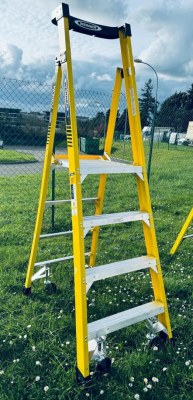 Destockage exclusif  Lot d'Echelle WERNER FG PODIUM W/CASTERS 2T 3T 4T 5T 6T 8T Neuf...