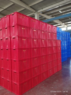 Caisses en Plastique en gros !