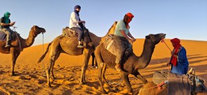 Your Perfect 3 Days Desert Tour from Marrakech to Merzouga