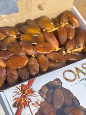 DATTES DEGLET NOUR