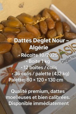 DATTES DEGLET NOUR