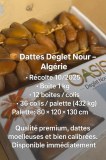 DATTES DEGLET NOUR