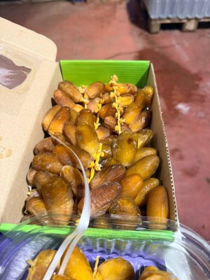 Dattes de l'Algérie_ Deglet-Nour