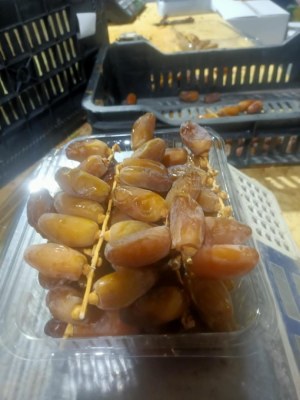Dattes de l'Algérie_ Deglet-Nour
