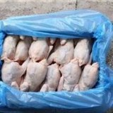 Halal poulet congelés