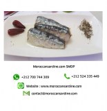 Organic Moroccan Sardines