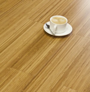 Bambou Fineline Miel X010011700A1