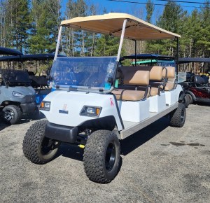 Yamaha 6 seats passenger Buggy